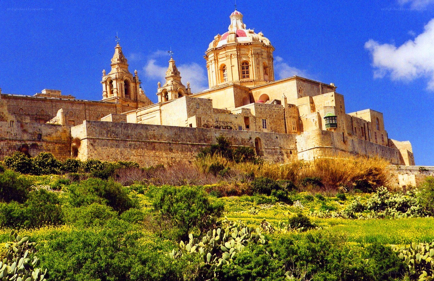 Fortified cathedral in Malta