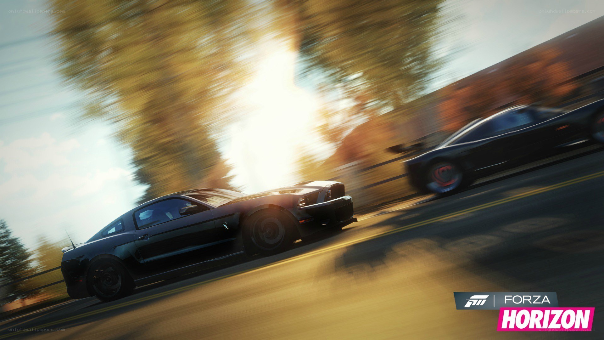 Forza Horizon racing scene