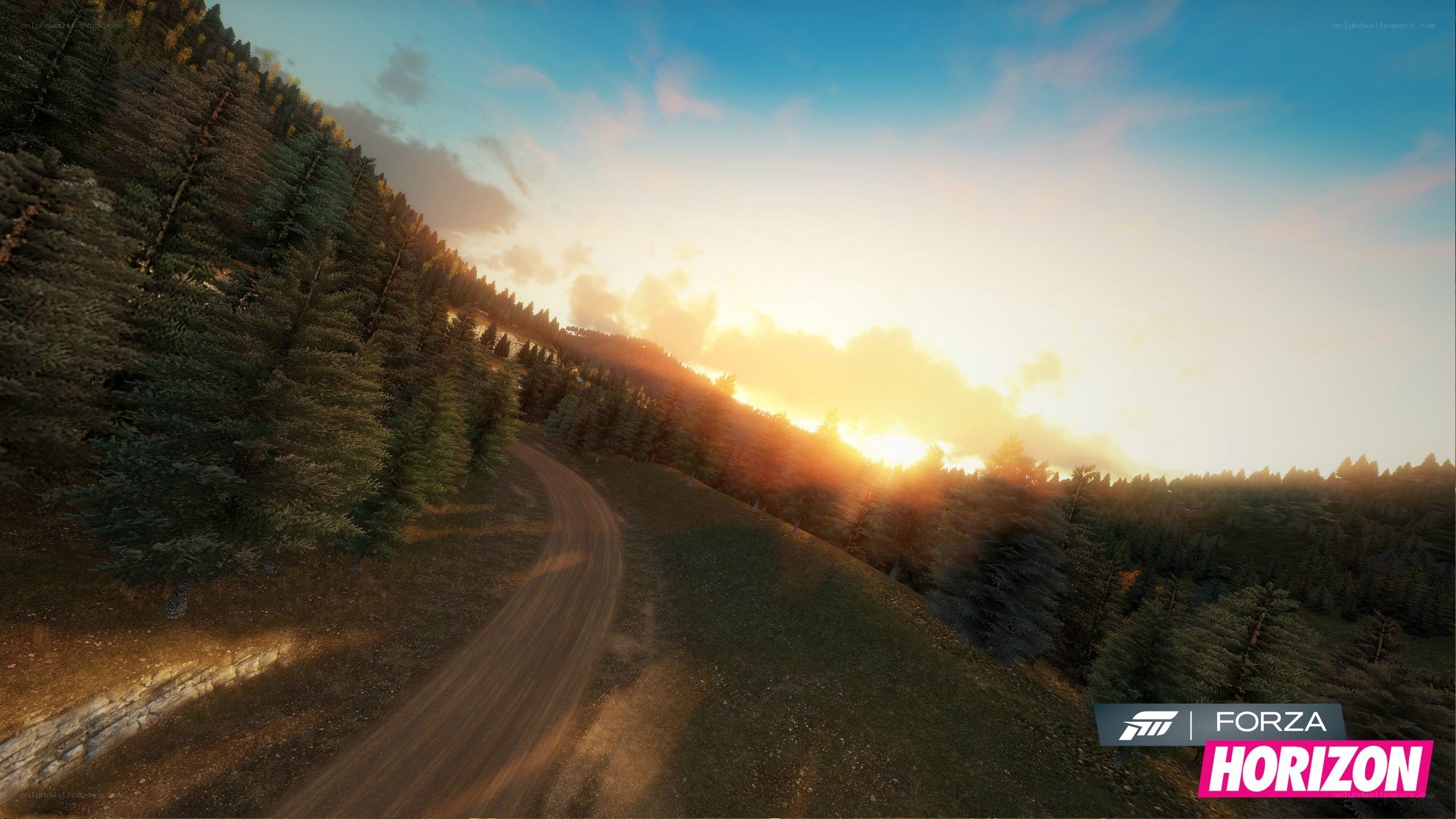 Forza Horizon sunset drive