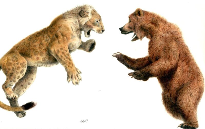 Fossil Big Cats