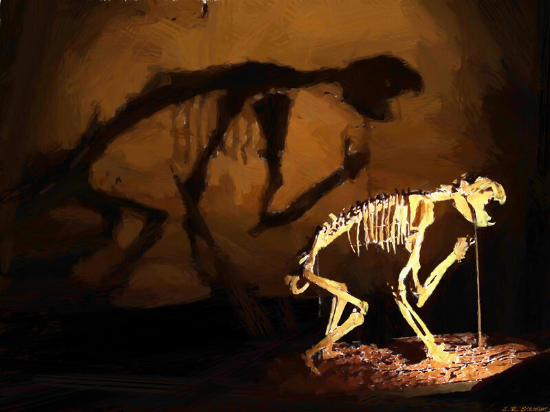 Fossil Skeleton Display