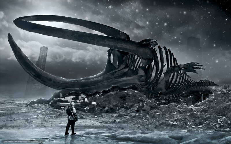 Fossilized creature skeleton