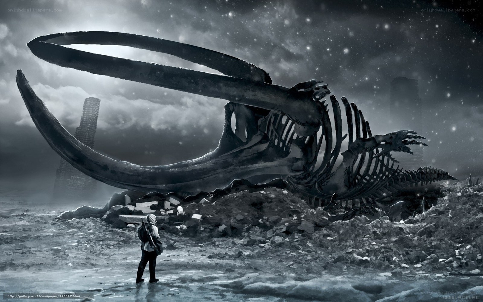 Fossilized creature skeleton
