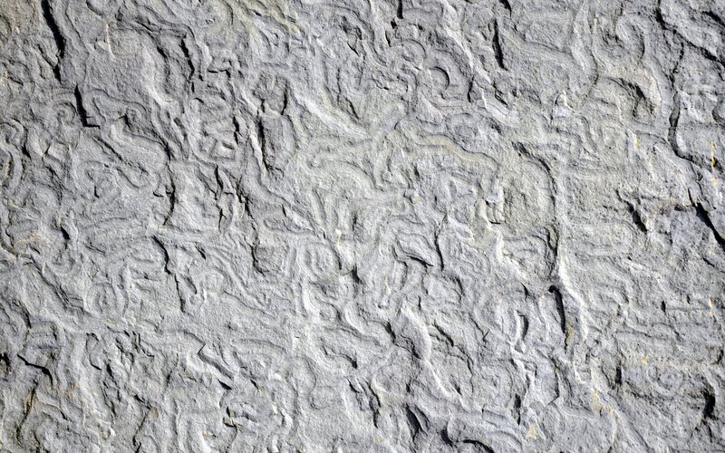 fossilized ripple marks in rock