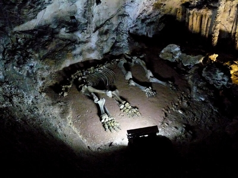 Fossilized Skeleton in Cave