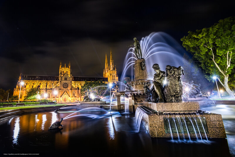 fountain and cathedral at night