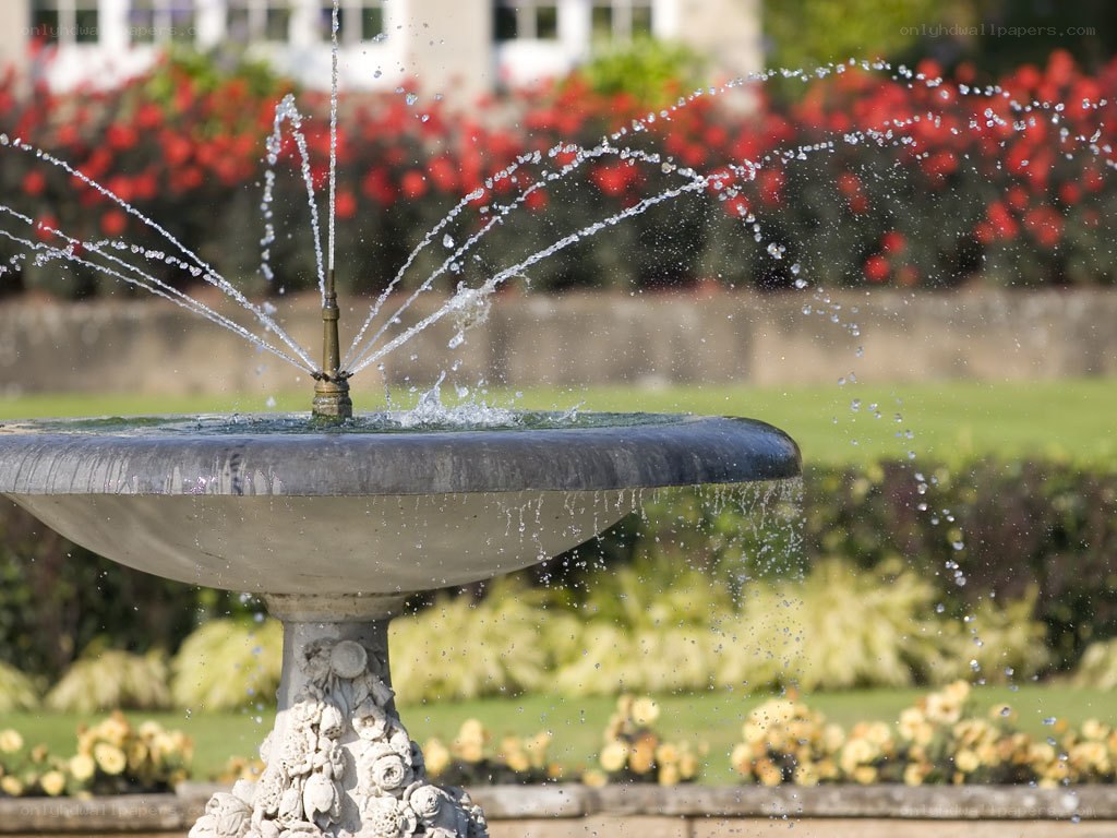 fountain in a garden