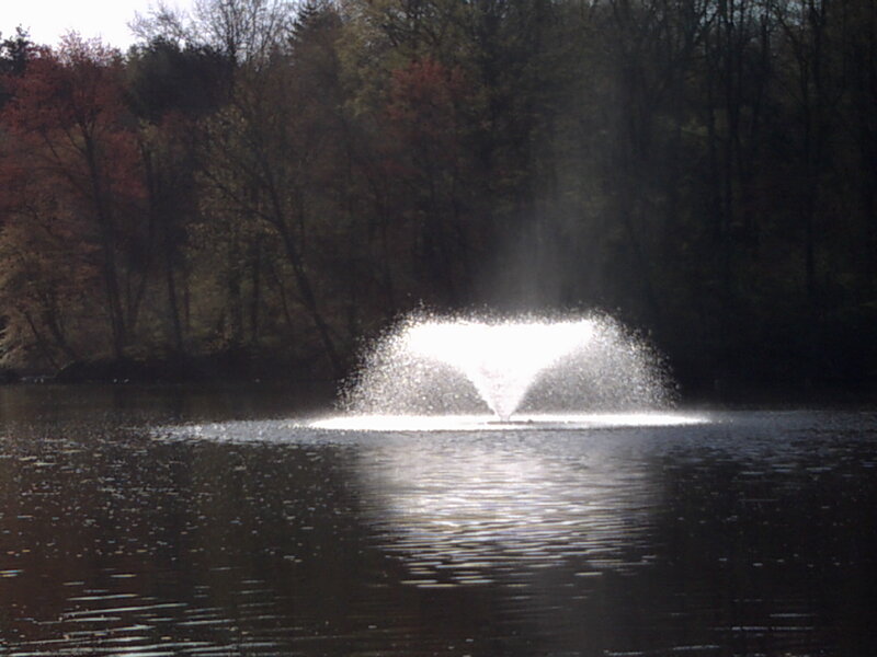Fountain in a lake