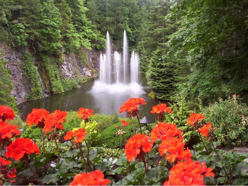 Fountain in a lush garden