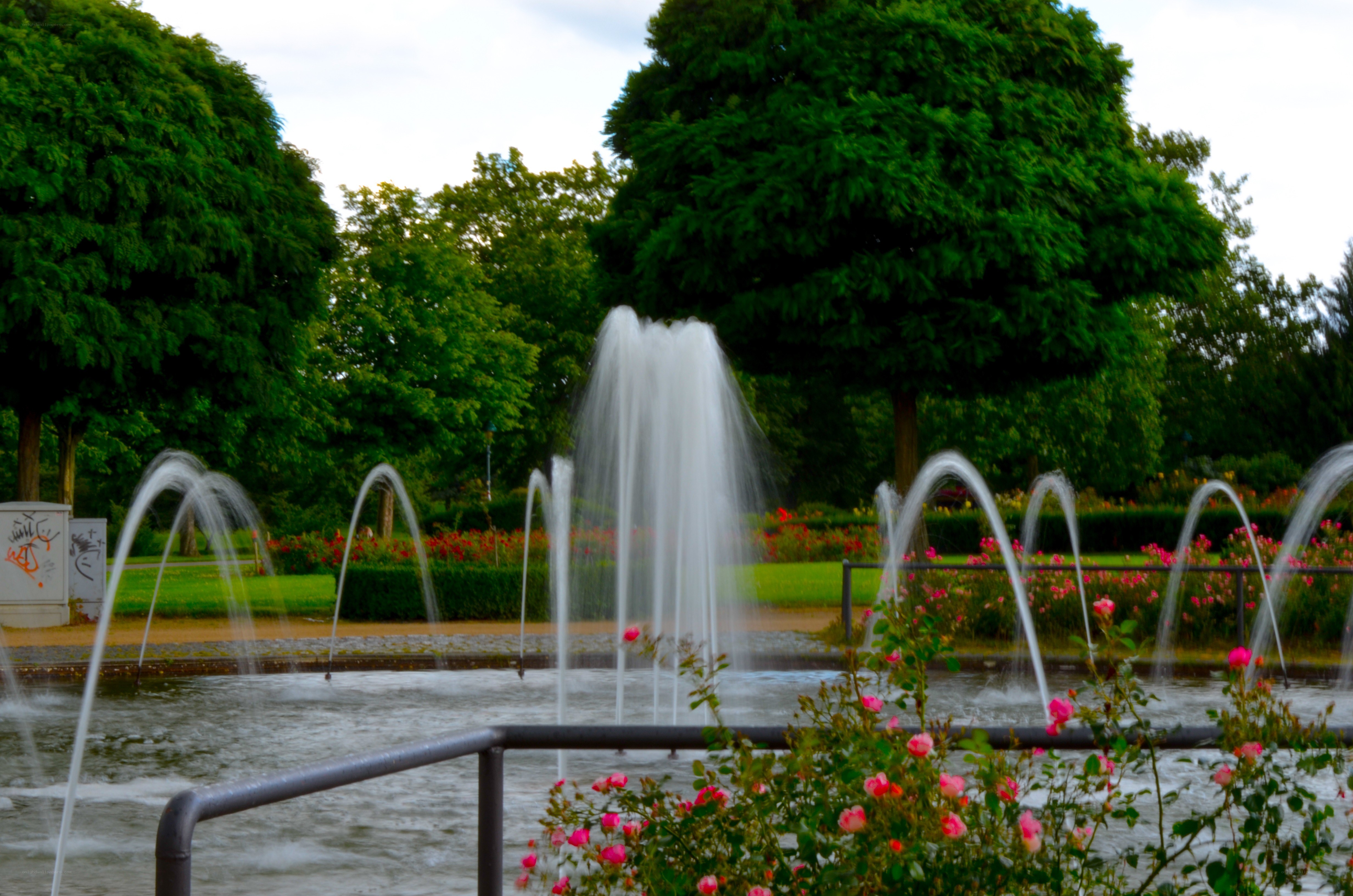 Fountain in a park