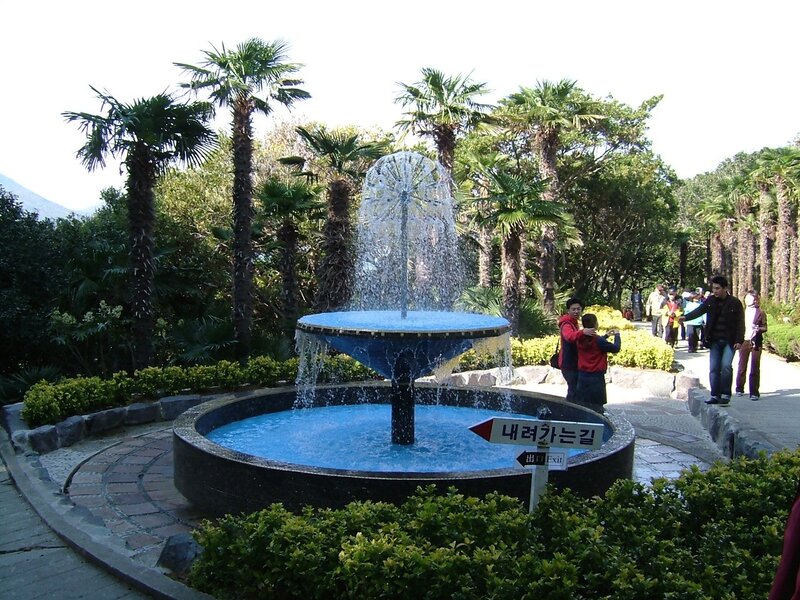 Fountain in a tropical garden