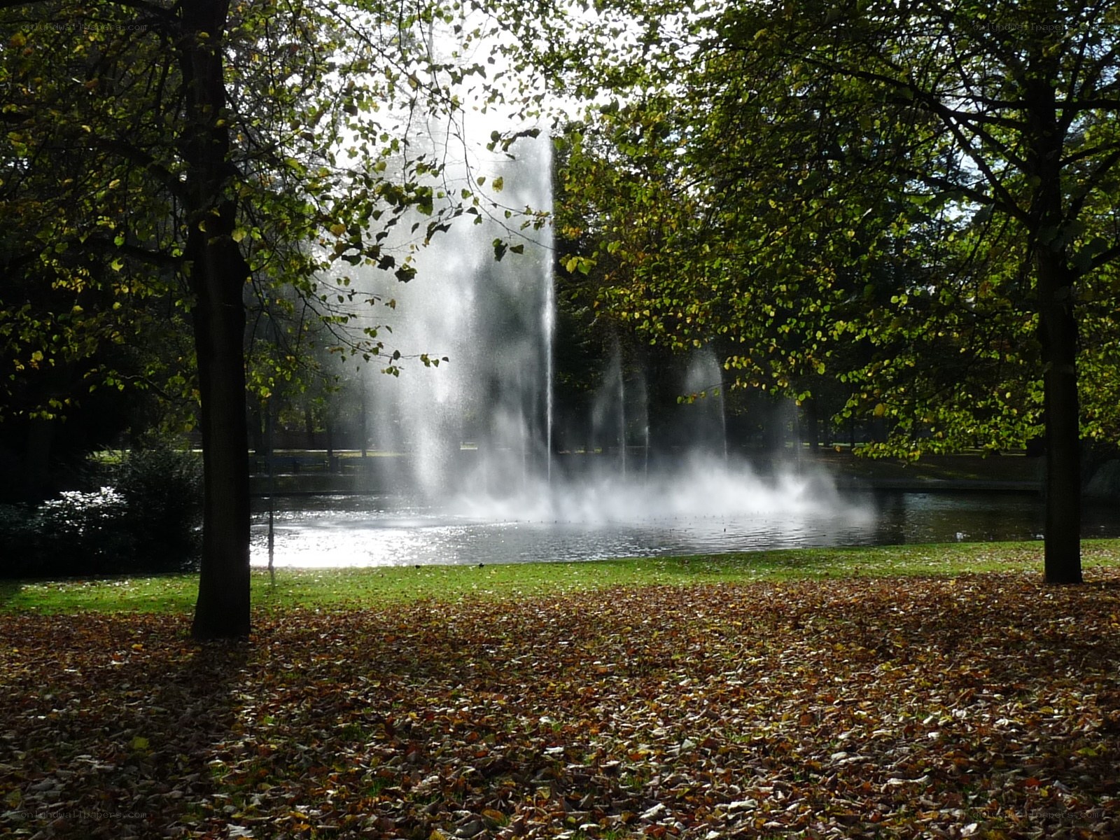 Fountain in autumn park