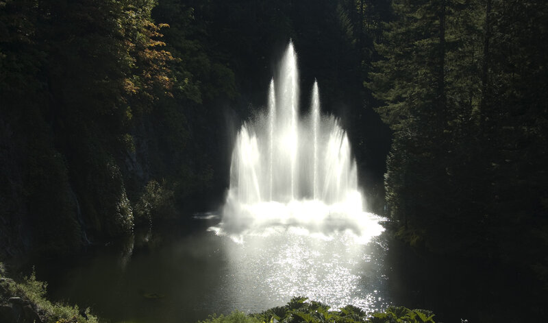 Fountain in Forest — Green, Dramatic