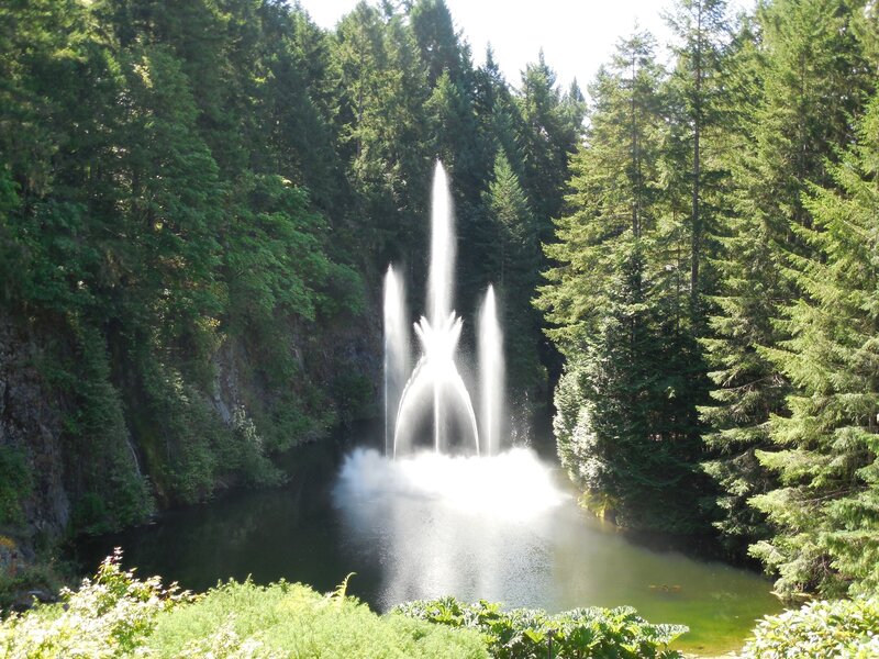 Fountain in Forest — Green, Serene, Afternoon