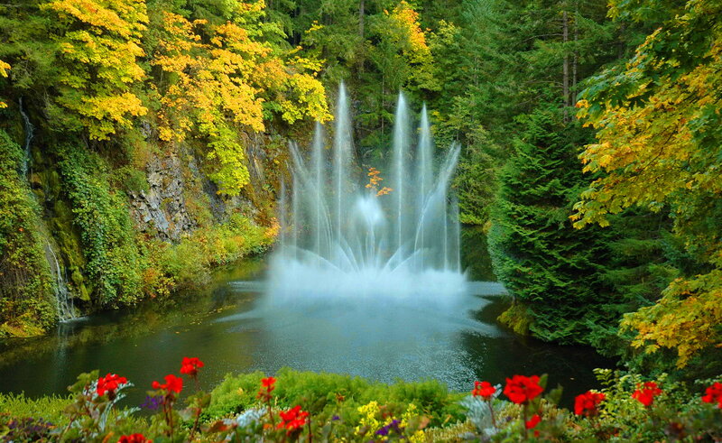 Fountain in Forest — Green, Serene, Autumn