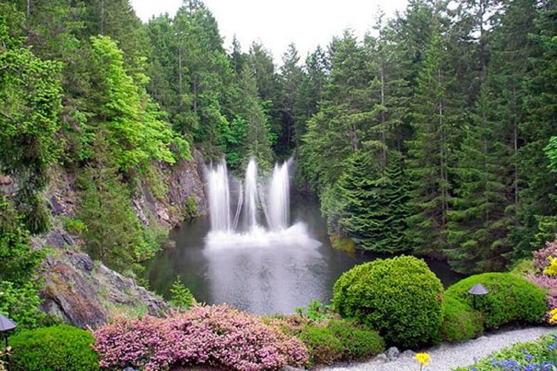 Fountain in Forest — Green, Serene, Spring