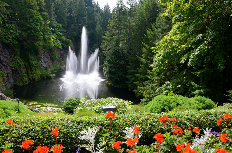 Fountain in Forest — Green, Serene