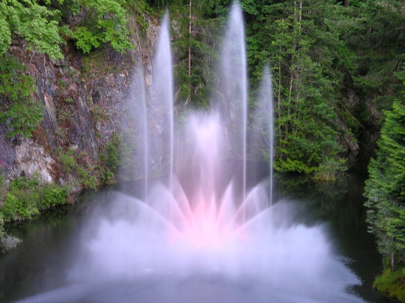 Fountain in Forest — Green