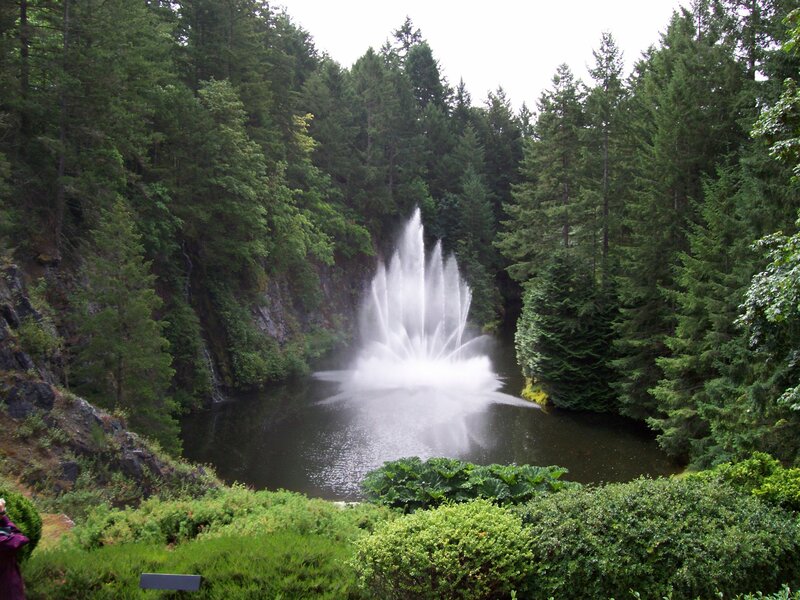 Fountain in Forest Pond — Green