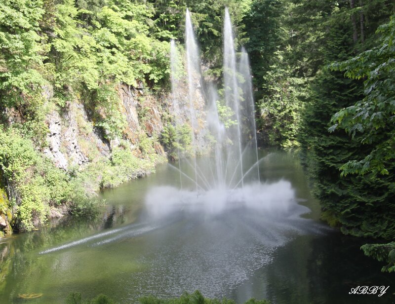 Fountain in Forest Pond