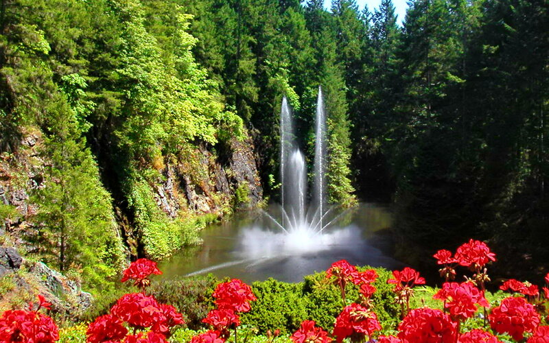 Fountain in Forest — Red, Serene