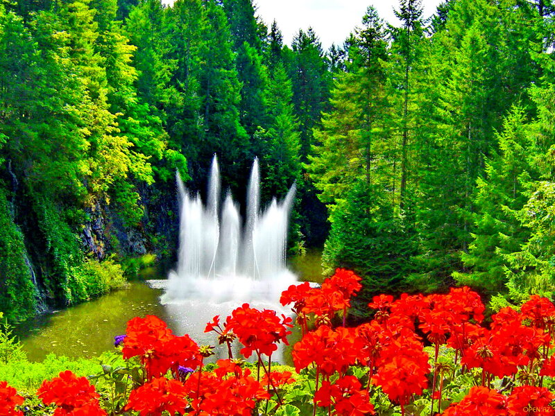 Fountain in Forest — Red