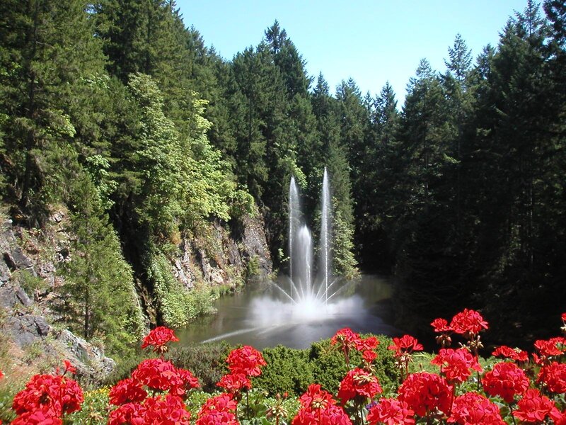 Fountain in Forest