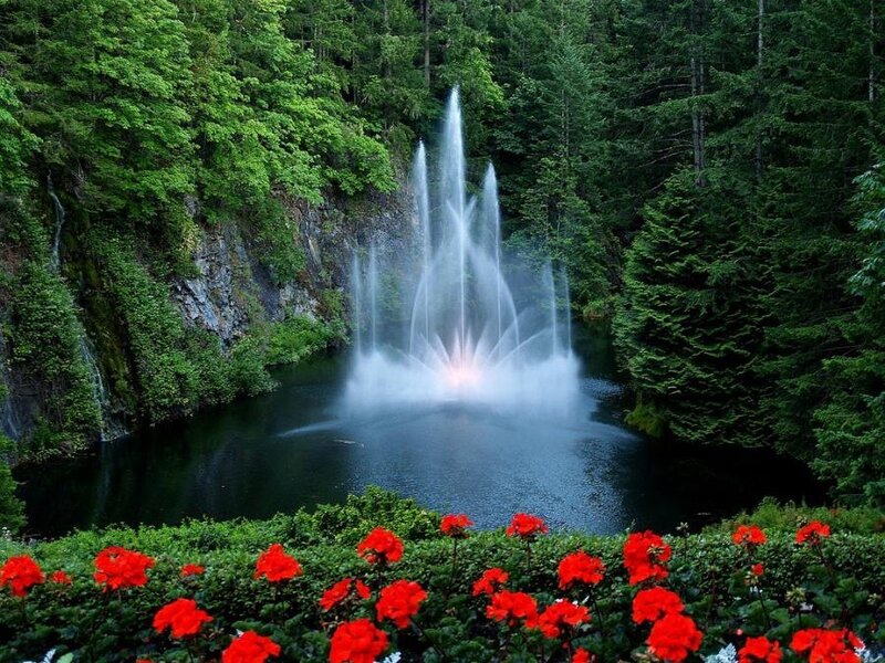 Fountain in forest with red flowers