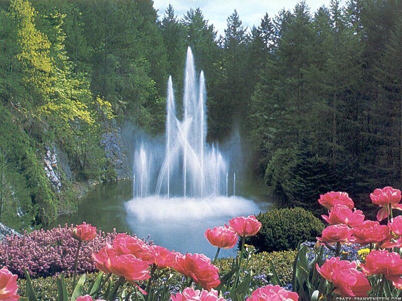 Fountain in Garden — Pink