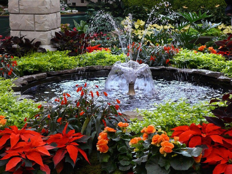 Fountain in Garden — Red, Serene, Afternoon
