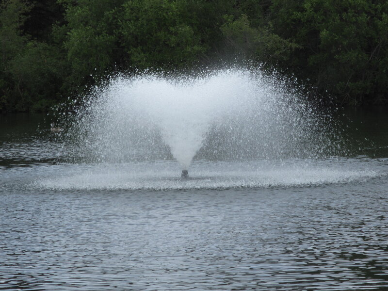 Fountain in Lake — Green, Calm