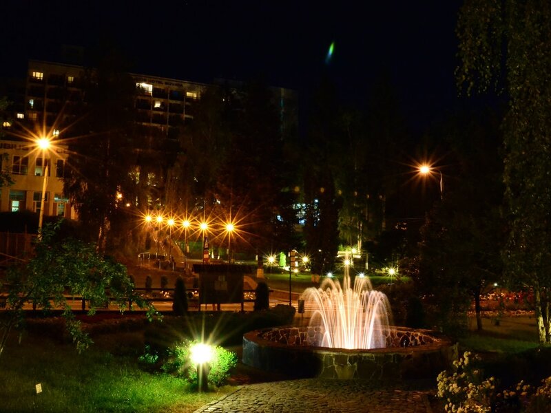 Fountain in Park at Night — Black