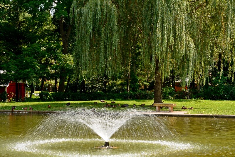 Fountain in Park Pond — Green, Serene, Afternoon, Photograph