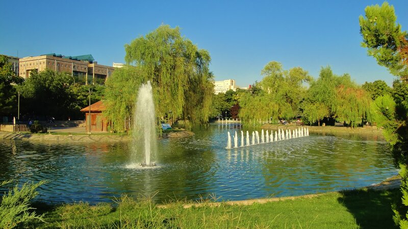Fountain in Park Pond — Green, Serene, Afternoon