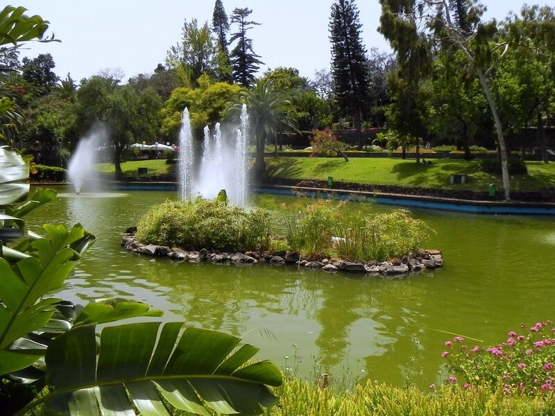 Fountain in Park Pond — Green, Serene