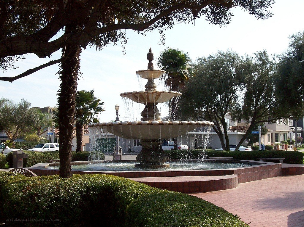 fountain in park with trees