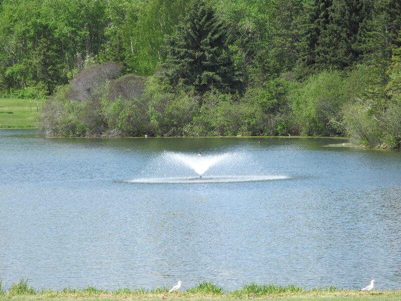 Fountain in Pond — Blue