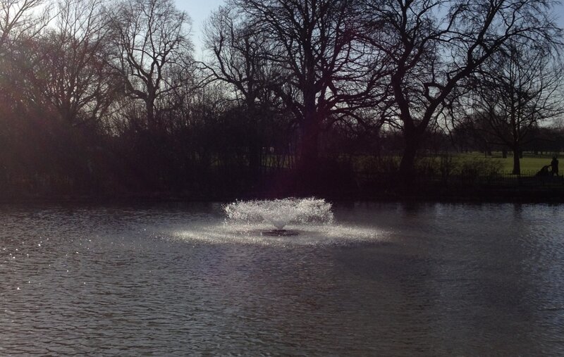 Fountain in Pond — Brown