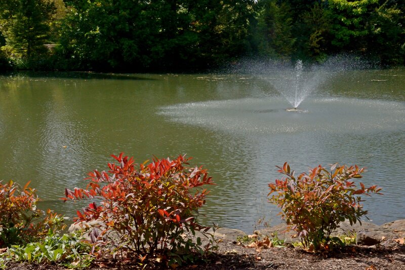 Fountain in Pond — Green, Serene, Autumn