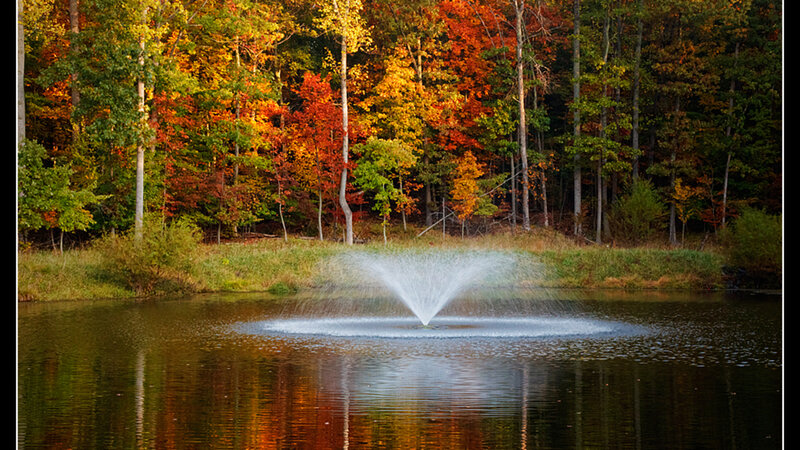 Fountain in Pond — Orange