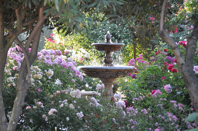 Fountain in Rose Garden — Green, Serene