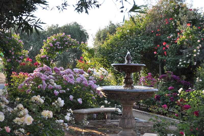 Fountain in Rose Garden — Green