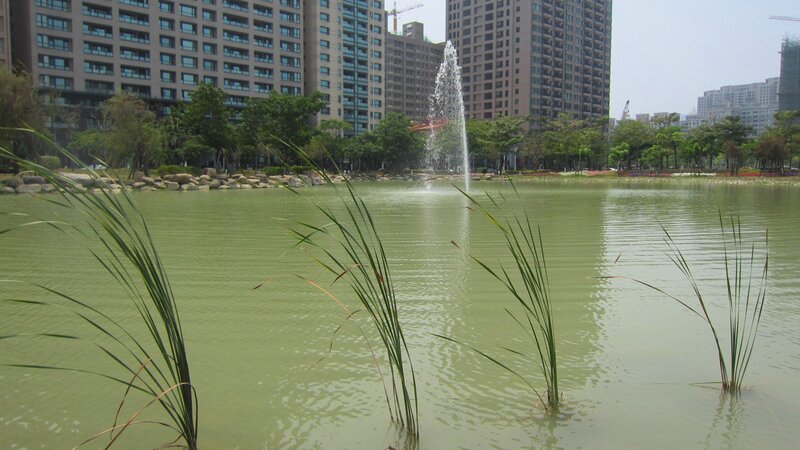 Fountain in Urban Pond