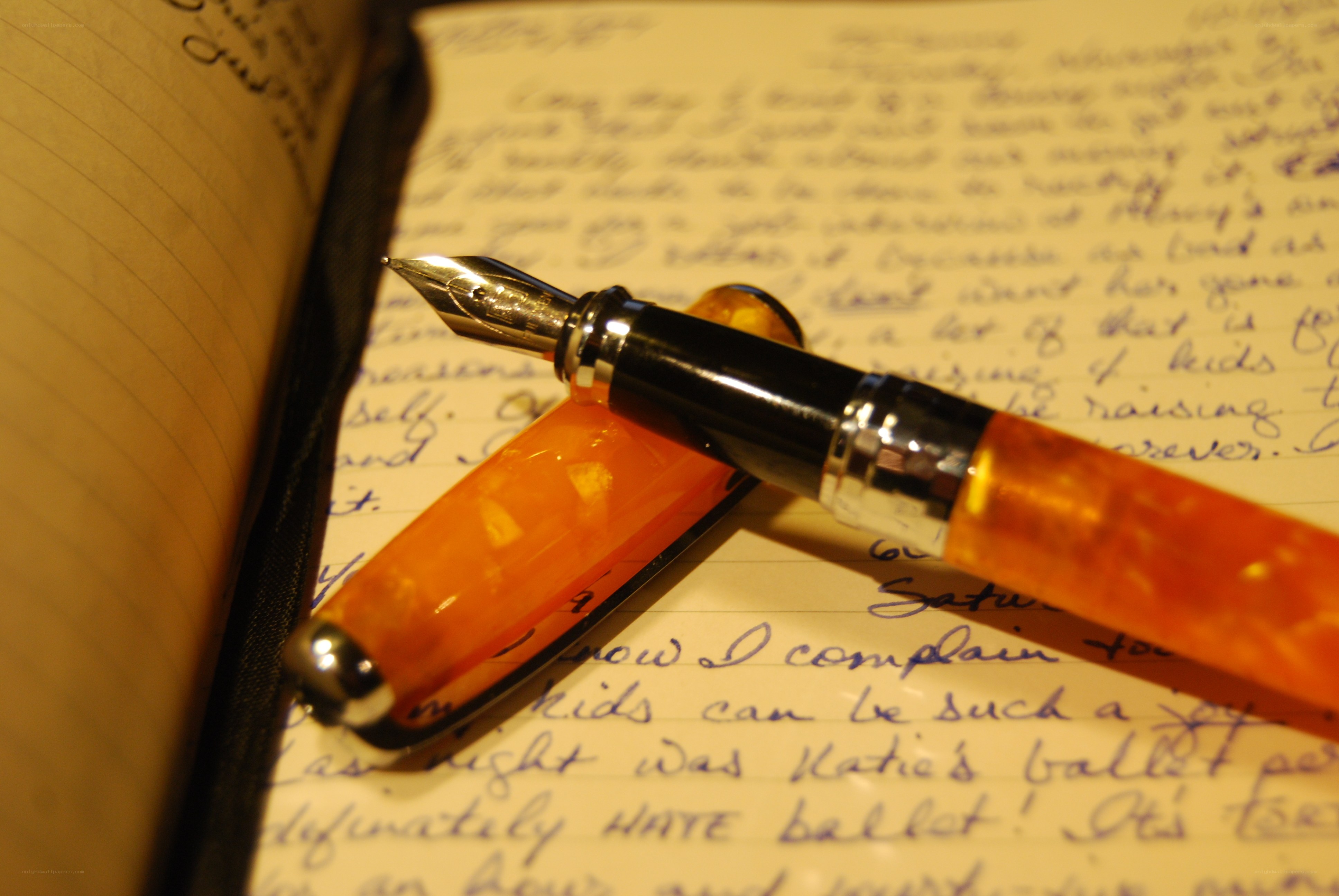 Fountain pen on journal page