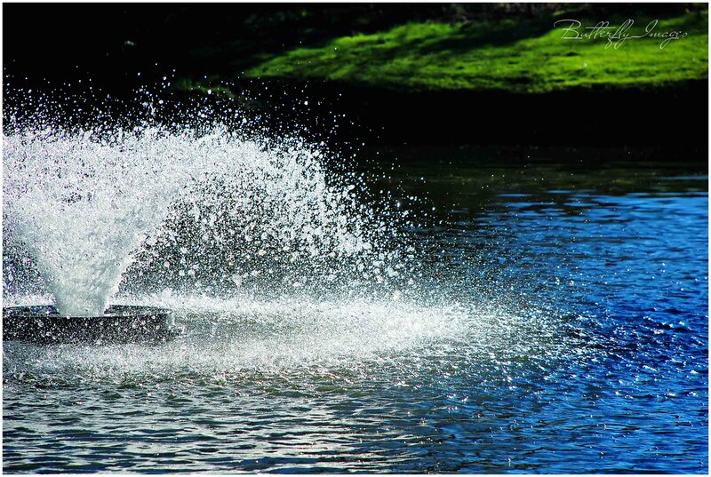 Fountain Spraying Water