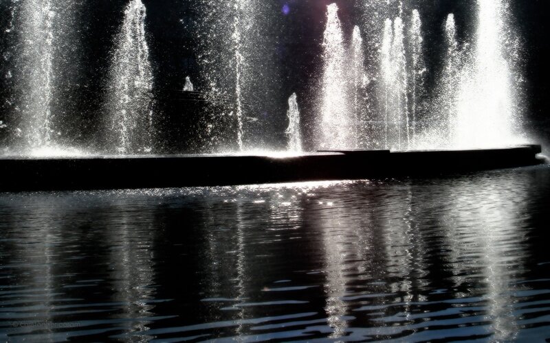 Fountain Water Jets — Black
