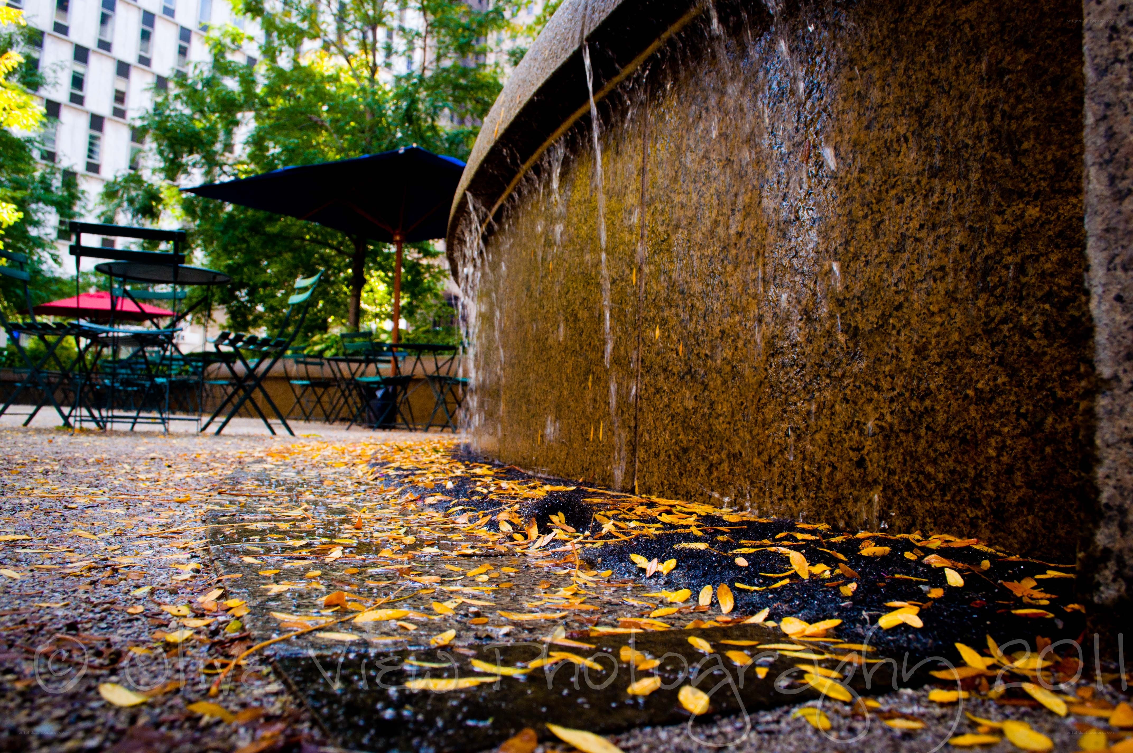 Fountain with autumn leaves