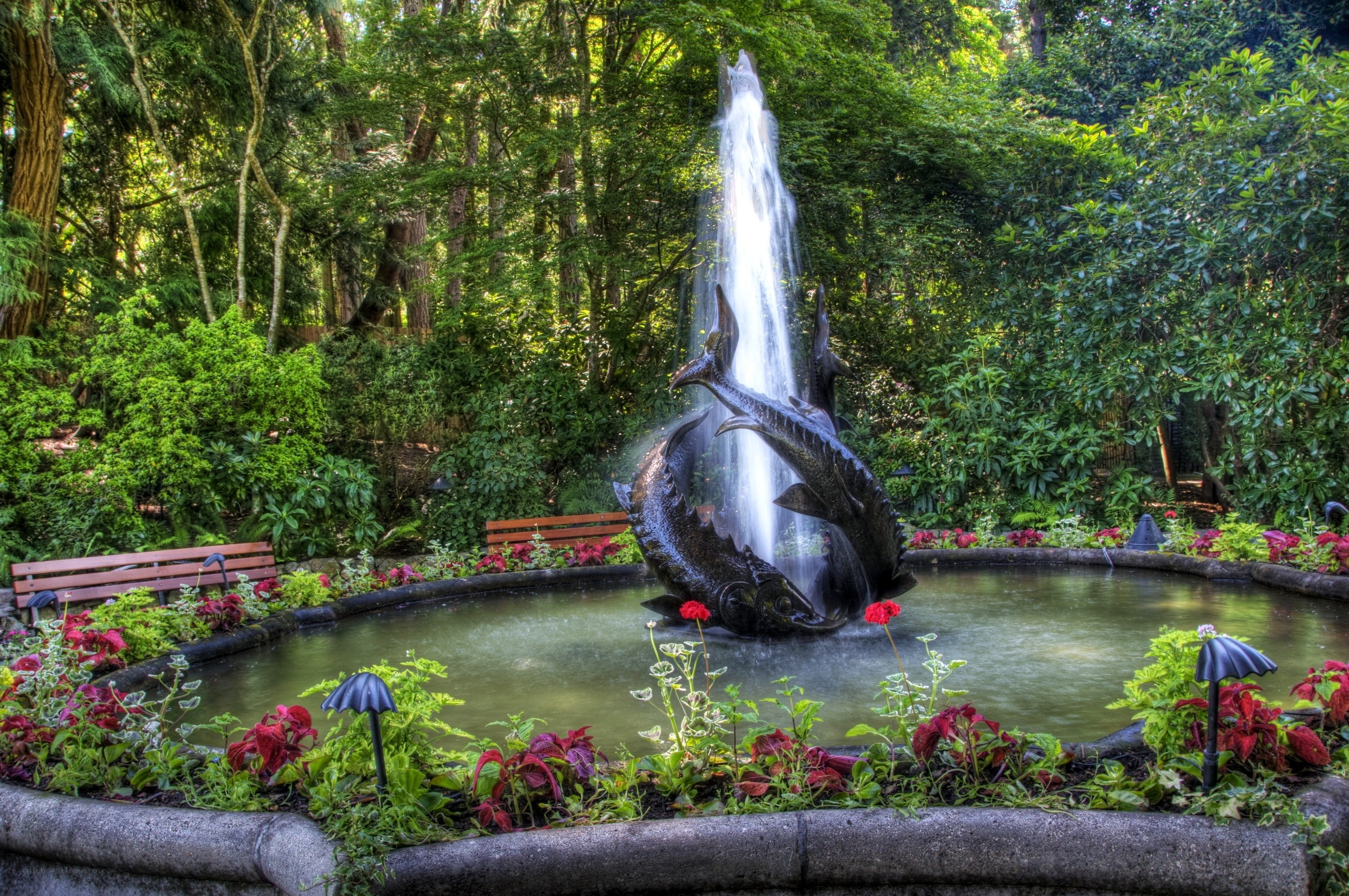 Fountain with fish sculpture