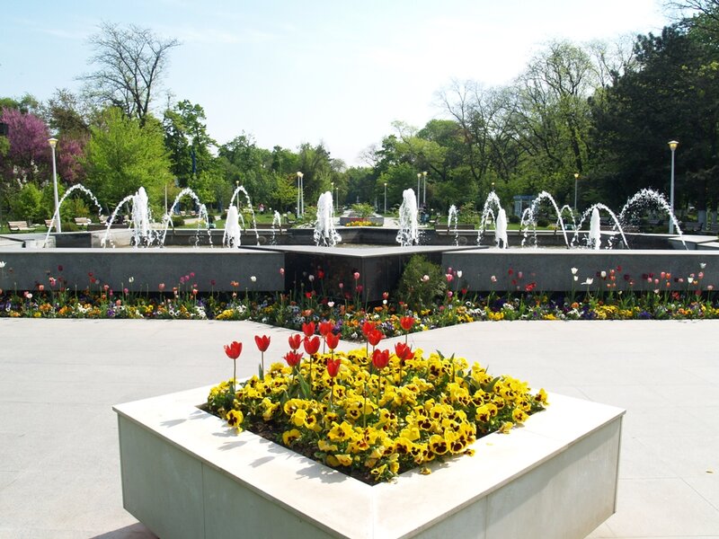 Fountain with Flowers