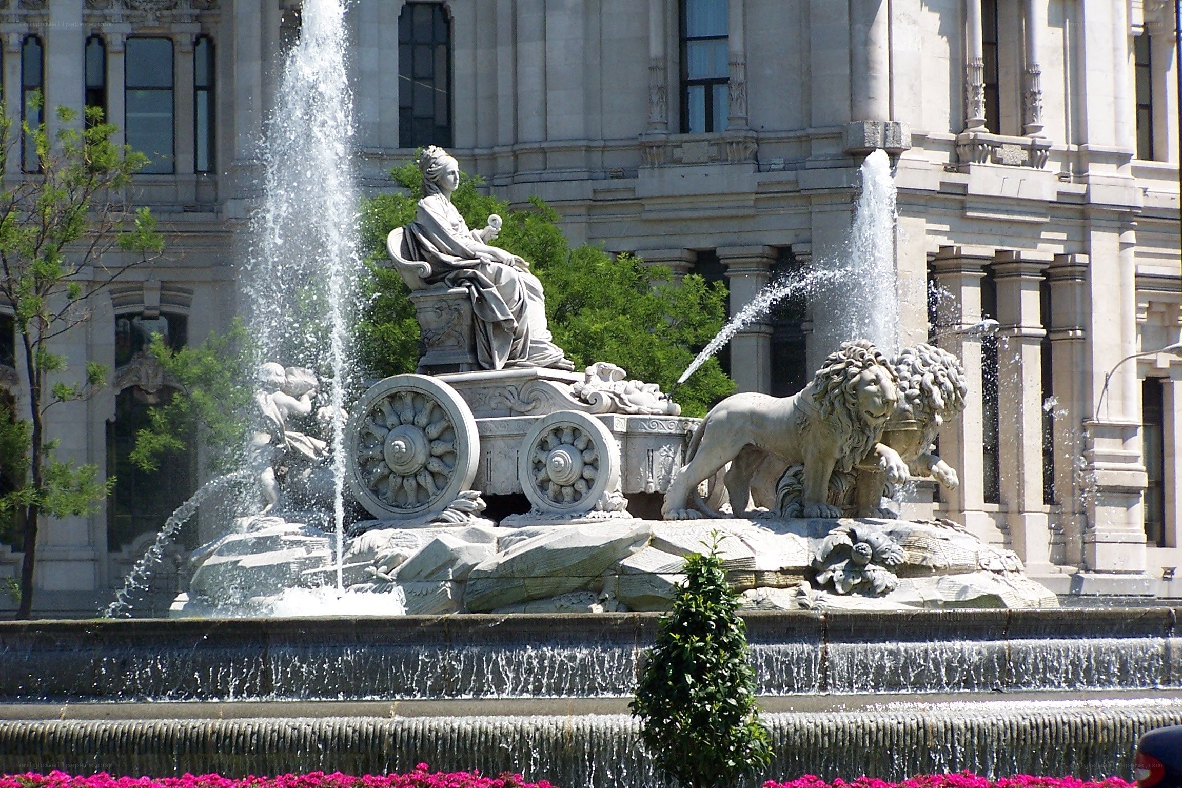 fountain with lion statues
